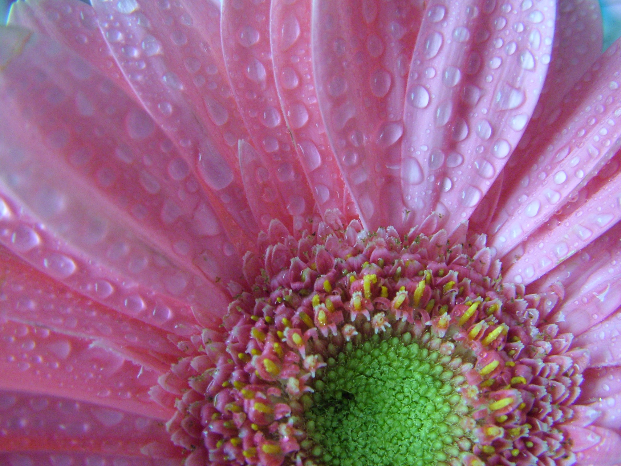 DSCF6994